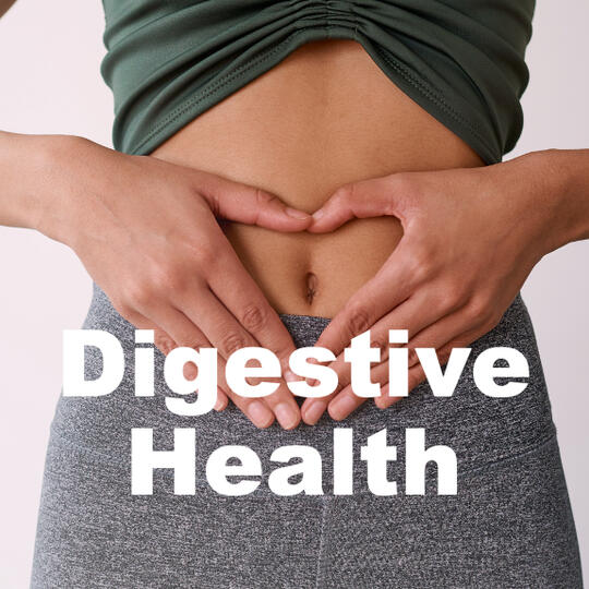 Improve Digestive Health with prebiotics, probiotics, digestive enzymes, essential oils, ginger, fennel, peppermint.