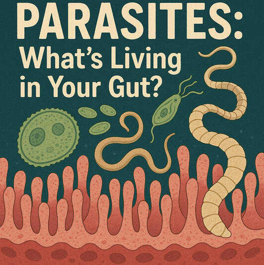 parasites in humans gut health parasite cleanse intestinal parasites natural parasite detox